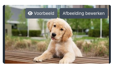 voorvertoning.
